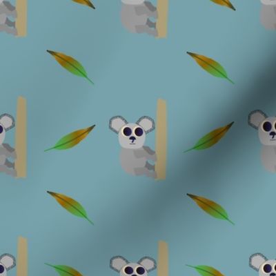 koalas