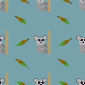 koalas