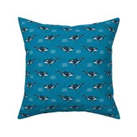 Smaller Scale Orca Killer Whale Deep Blue Sea on Turquoise