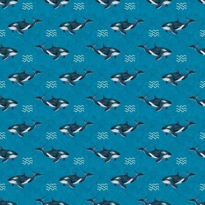 Smaller Scale Orca Killer Whale Deep Blue Sea on Turquoise