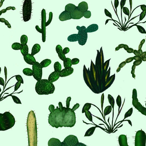 cactus pattern mint