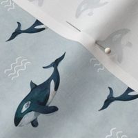 Smaller Scale Orca Killer Whale Deep Blue Sea on Grey