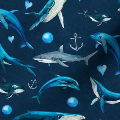 Bigger Scale Deep Blue Sea Whales Dolphins Sharks Orcas Dark Navy Ocean
