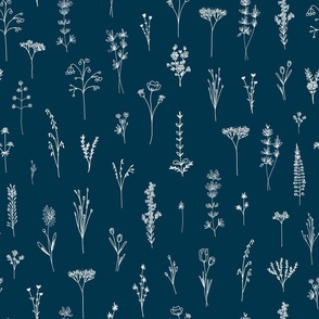 Petrol Blue New Wildflowers Lineart