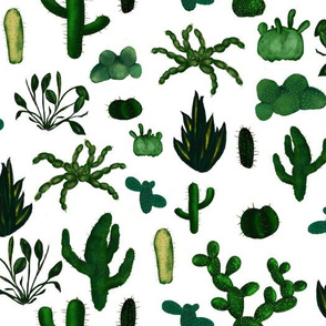 cactus pattern small