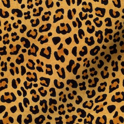 Animalier-Leopard Print-Natural-M