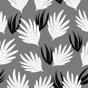 Modern Black and White Ferns