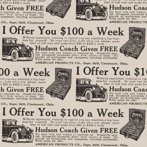 Free Hudson Car ad (just sell Zanol products)