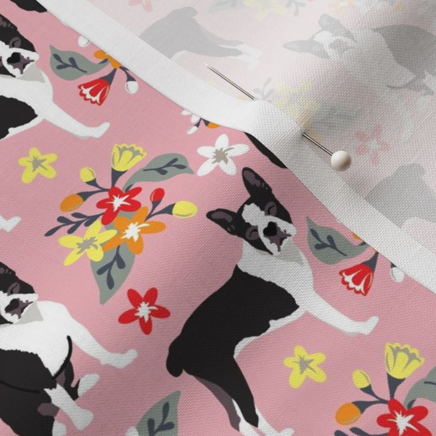 Boston Terrier dogs  pink background with small white, orange, yellow, and red flowers