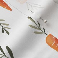 Carrot pattern