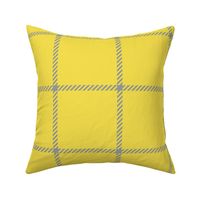 spread out gingham gray on yellow