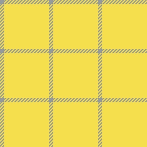 spread out gingham gray on yellow