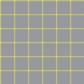 spread out gingham yellow on gray small