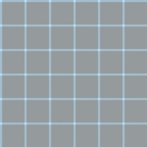 spread out gingham blue on gray small