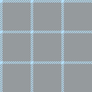 spread out gingham blue on gray