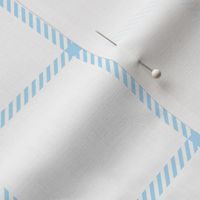 spread out gingham baby blue on white small