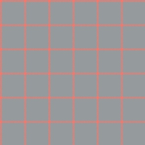 spread out gingham coral on gray small