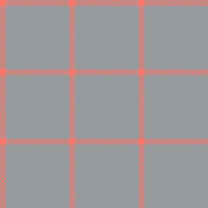 spread out gingham coral on gray