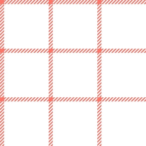 spread out gingham coral on white 