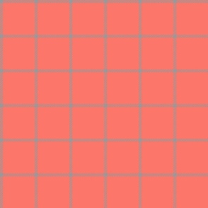 spread out gingham gray on coral small