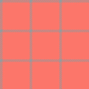 spread out gingham gray on coral