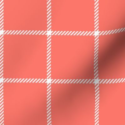 spread out gingham white on coral small