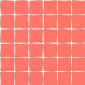 spread out gingham white on coral small
