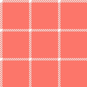 spread out gingham white on coral