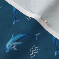 Smaller Scale Blue Dolphins on Navy