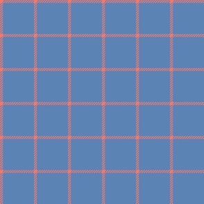 spread out gingham coral on pacific blue small
