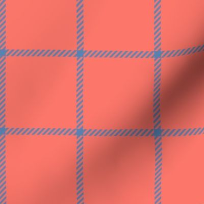spread out gingham pacific blue on coral small