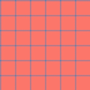 spread out gingham pacific blue on coral small