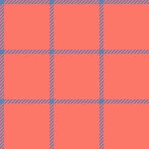 spread out gingham pacific blue on coral