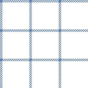 spread out gingham pacific blue on white