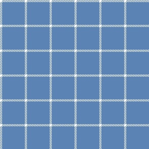 spread out gingham white on pacific blue small