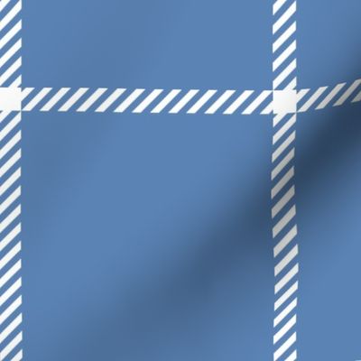 spread out gingham white on pacific blue