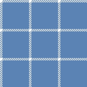 spread out gingham white on pacific blue