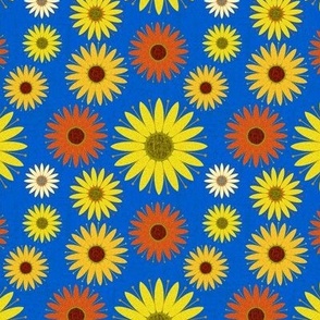 Mixed Sunflowers on Blue