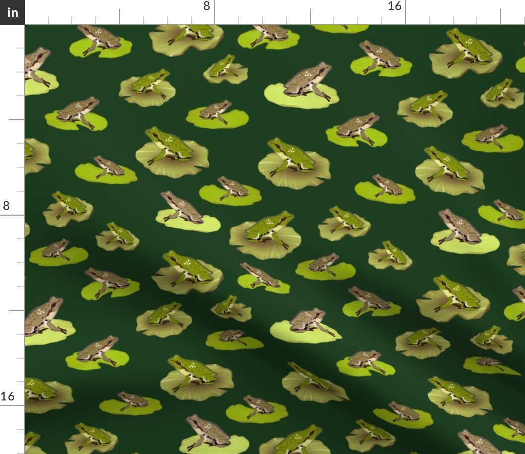 Pacific Chorus Frogs, Forest