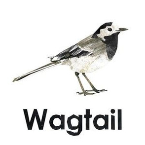 wagtail  - 6" panel