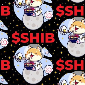 SHIB Cryptocurrency To The Moon