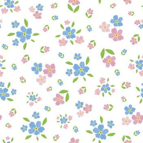 Mary's Pink Blue Forget-Me-Not Flowers