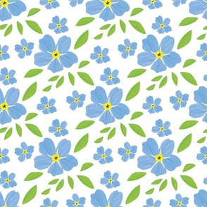 Mary's  Blue White Forget-Me-Not Flowers