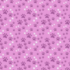 Pawprints Magenta on Pink Tiny