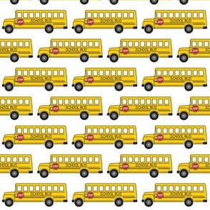 tiny school buses