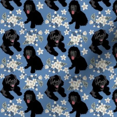 Newfoundland dogs and white flower vine Dog Fabric denim blue small print