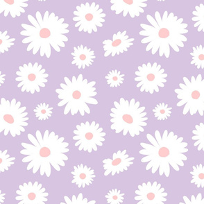 Daisies on Lavender