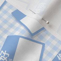 Scattered Chinese 'hello my name is' nametags - baby blue on gingham