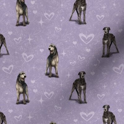 The Irish Wolfhound Purple