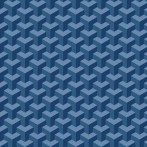 Cube Weave - Blue